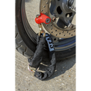 Motorcycle Disc Brake Lock ¯6mm | Pipe Manufacturers Ltd..