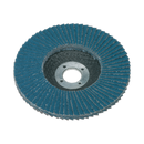 Flap Disc Zirconium ¯100mm ¯16mm Bore 40Grit | Pipe Manufacturers Ltd..