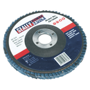 Flap Disc Zirconium ¯100mm 16mm Bore 60Grit | Pipe Manufacturers Ltd..