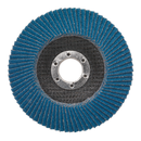 Flap Disc Zirconium ¯115mm ¯22mm Bore 60Grit | Pipe Manufacturers Ltd..