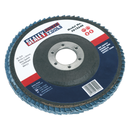 Flap Disc Zirconium ¯125mm ¯22mm Bore 40Grit | Pipe Manufacturers Ltd..