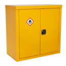 Hazardous Substance Cabinet 900 x 460 x 900mm | Pipe Manufacturers Ltd..