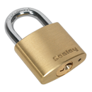 Brass Body Padlock 30mm | Pipe Manufacturers Ltd..