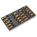 Tool Tray with Screwdriver Set 20pc | Pipe Manufacturers Ltd..