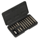 Ribe Bit & Holder Set 15pc - 3/8"Sq Drive | Pipe Manufacturers Ltd..