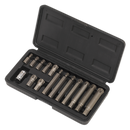 Ribe Bit & Holder Set 15pc - 3/8"Sq Drive | Pipe Manufacturers Ltd..