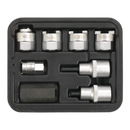 Strut Nut Set 8pc | Pipe Manufacturers Ltd..