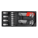 Tool Tray with Hex/Ball-End Hex Keys & Socket Bit Set 29pc | Pipe Manufacturers Ltd..