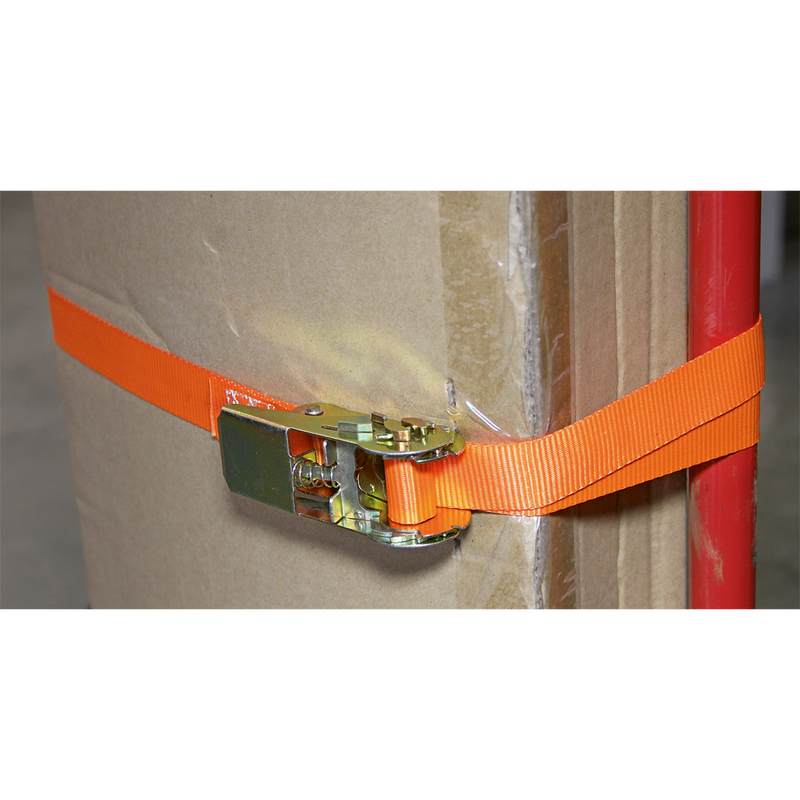 Self-Securing Ratchet Tie Down 25mm x 4.5m 500kg Load Test - Pair | Pipe Manufacturers Ltd..