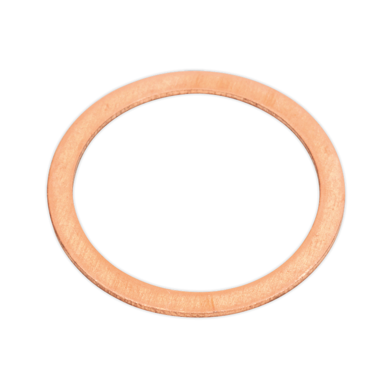 Diesel Injector Copper Washer Assortment 250pc - Metric | Pipe Manufacturers Ltd..