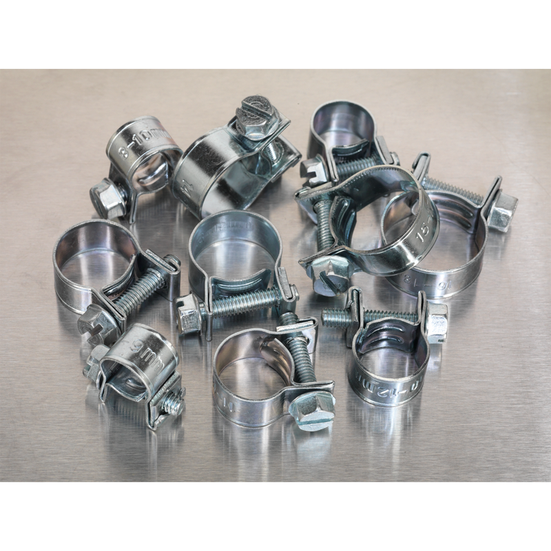 Mini Hose Clip Assortment 100pc | Pipe Manufacturers Ltd..