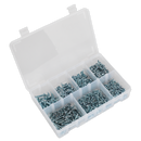 Self Drilling Screw Assortment 500pc Pan Head Phillips Zinc D7504N | Pipe Manufacturers Ltd..