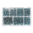 Self Drilling Screw Assortment 500pc Pan Head Phillips Zinc D7504N | Pipe Manufacturers Ltd..