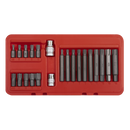 Ribe Bit Set 22pc 3/8" & 1/2"Sq Drive | Pipe Manufacturers Ltd..