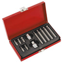 12pc Ball Ended Hex Bit Set