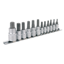 TRX-Star* Socket Bit Set 12pc 1/4", 3/8" & 1/2"Sq Drive | Pipe Manufacturers Ltd..