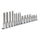Hex Socket Bit Set 16pc 1/4" & 3/8"Sq Drive | Pipe Manufacturers Ltd..