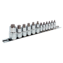 TRX-Star* Socket Bit Set 12pc Stubby 1/4", 3/8" & 1/2"Sq Drive | Pipe Manufacturers Ltd..