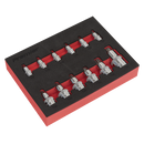 TRX-Star* Socket Bit Set 12pc Stubby 1/4", 3/8" & 1/2"Sq Drive | Pipe Manufacturers Ltd..