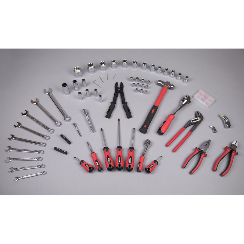 Mechanic's Tool Kit 100pc | Pipe Manufacturers Ltd..