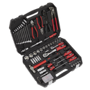 Mechanic's Tool Kit 100pc | Pipe Manufacturers Ltd..