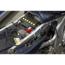 12V Ring Terminal Battery Indicator Cable