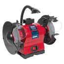 Bench Grinder ¯200mm with Work Light 550W/230V | Pipe Manufacturers Ltd..