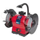 Bench Grinder ¯200mm with Work Light 550W/230V | Pipe Manufacturers Ltd..