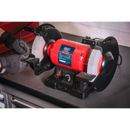 Bench Grinder ¯200mm Variable Speed | Pipe Manufacturers Ltd..