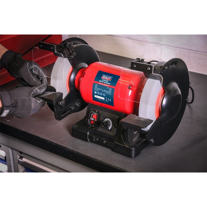 Bench Grinder ¯200mm Variable Speed | Pipe Manufacturers Ltd..