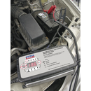Battery Support Unit & Charger 12V-25A/24V-12.5A | Pipe Manufacturers Ltd..