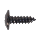 Self Tapping Screw 4.2 x 13mm Flanged Head Black Pozi BS 4174 Pack of 100 | Pipe Manufacturers Ltd..