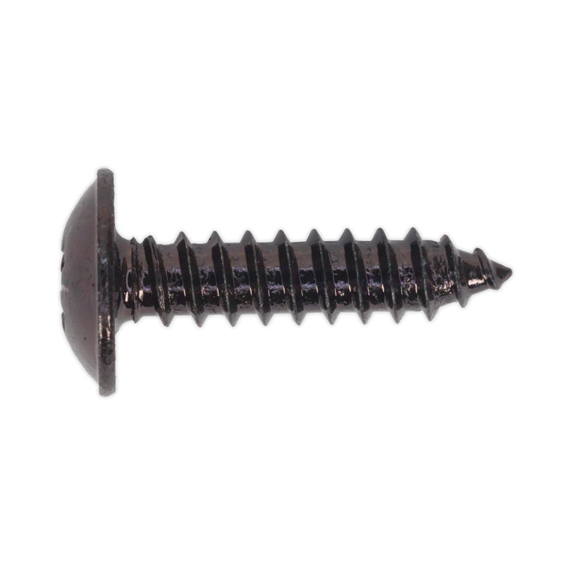 Self Tapping Screw 4.8 x 19mm Flanged Head Black Pozi BS 4174 Pack of 100 | Pipe Manufacturers Ltd..