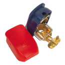 Quick Release Battery Clamps Positive-Negative Pair | Pipe Manufacturers Ltd..