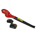 Leaf Blower Cordless 20V with 4Ah Battery & Charger | Pipe Manufacturers Ltd..