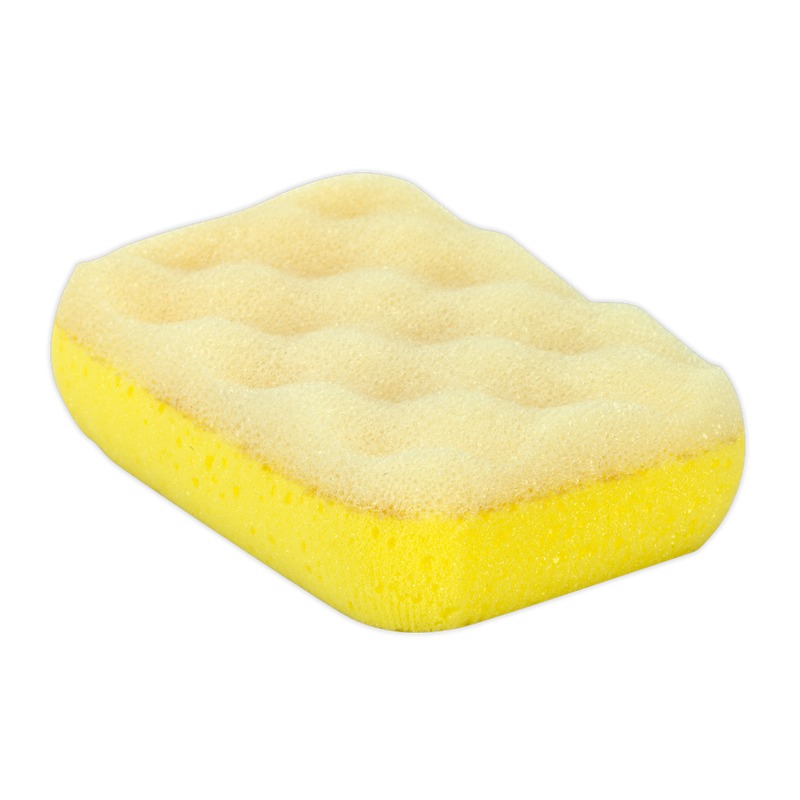2-in-1 Sponge | Pipe Manufacturers Ltd..