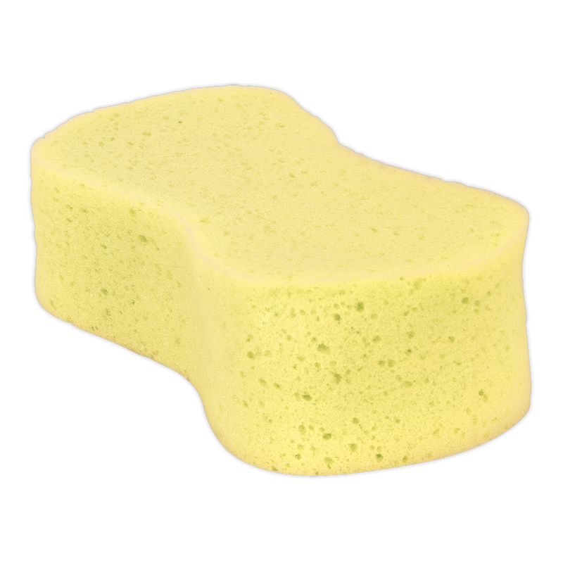 Large Sponge | Pipe Manufacturers Ltd..