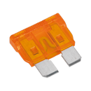 Standard Blade Fuse 40Amp | Pipe Manufacturers Ltd..