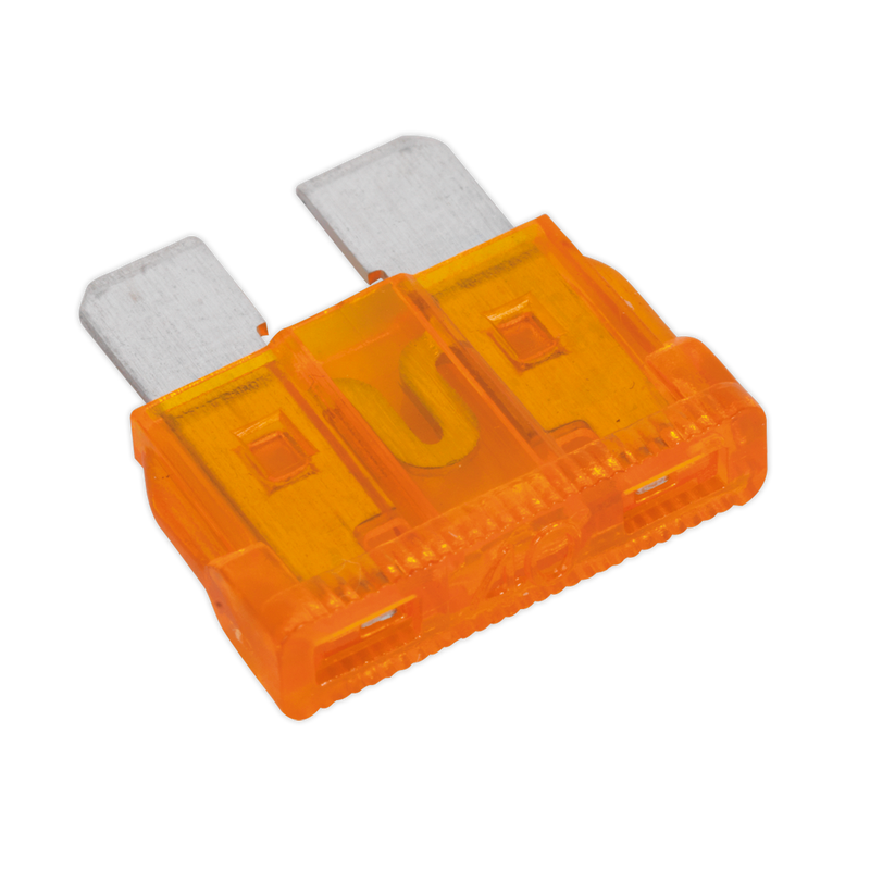 Standard Blade Fuse 40Amp | Pipe Manufacturers Ltd..