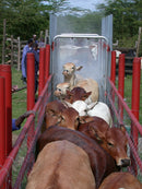 The Cow Wash | Pipe Manufacturers Ltd..