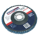 Flap Disc Zirconium ¯100mm ¯16mm Bore 40Grit | Pipe Manufacturers Ltd..