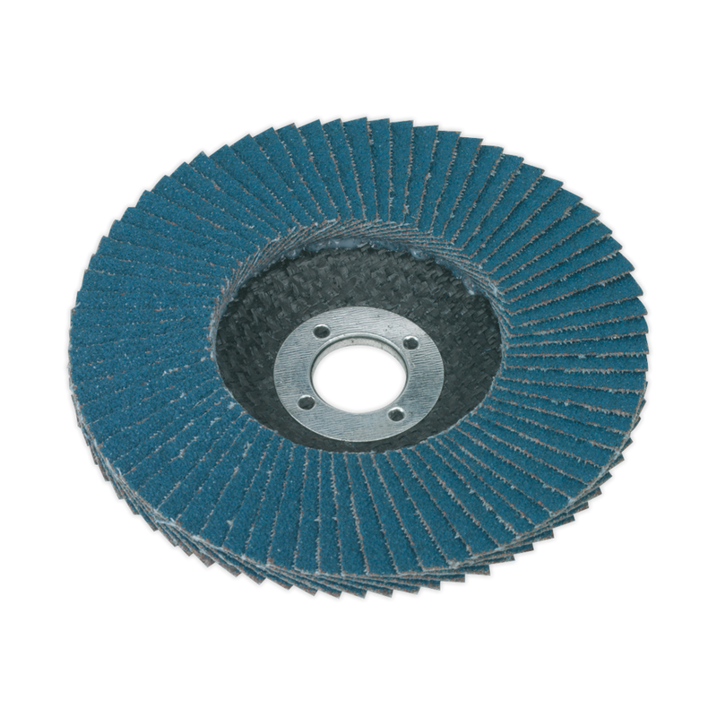 Flap Disc Zirconium ¯100mm ¯16mm Bore 80Grit | Pipe Manufacturers Ltd..