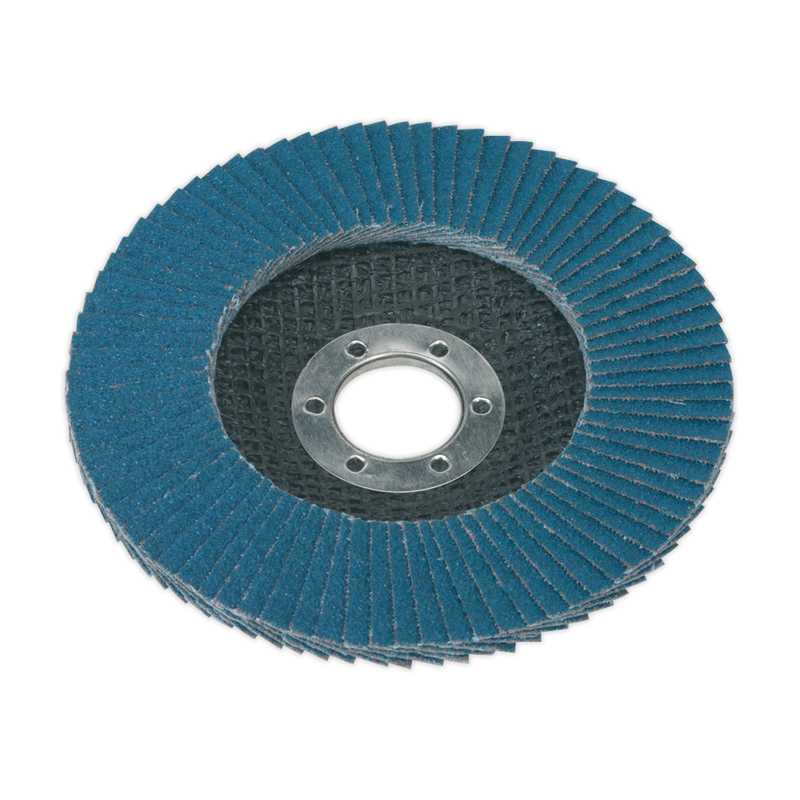 Flap Disc Zirconium ¯115mm ¯22mm Bore 40Grit | Pipe Manufacturers Ltd..