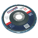 Flap Disc Zirconium ¯115mm ¯22mm Bore 60Grit | Pipe Manufacturers Ltd..