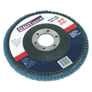 Flap Disc Zirconium ¯115mm ¯22mm Bore 80Grit | Pipe Manufacturers Ltd..