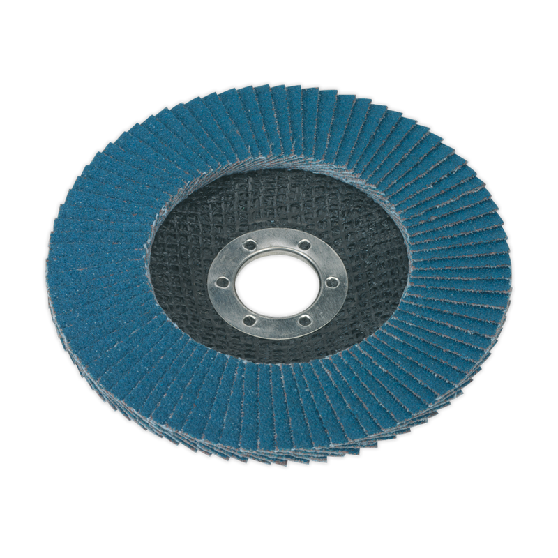 Flap Disc Zirconium ¯125mm ¯22mm Bore 80Grit | Pipe Manufacturers Ltd..