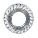 Flange Nut Serrated M10 Zinc DIN 6923 Pack of 100 | Pipe Manufacturers Ltd..
