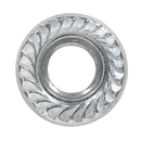 Flange Nut Serrated M8 Zinc DIN 6923 Pack of 100 | Pipe Manufacturers Ltd..