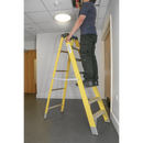 Fibreglass Step Ladder 6-Tread EN 131 | Pipe Manufacturers Ltd..