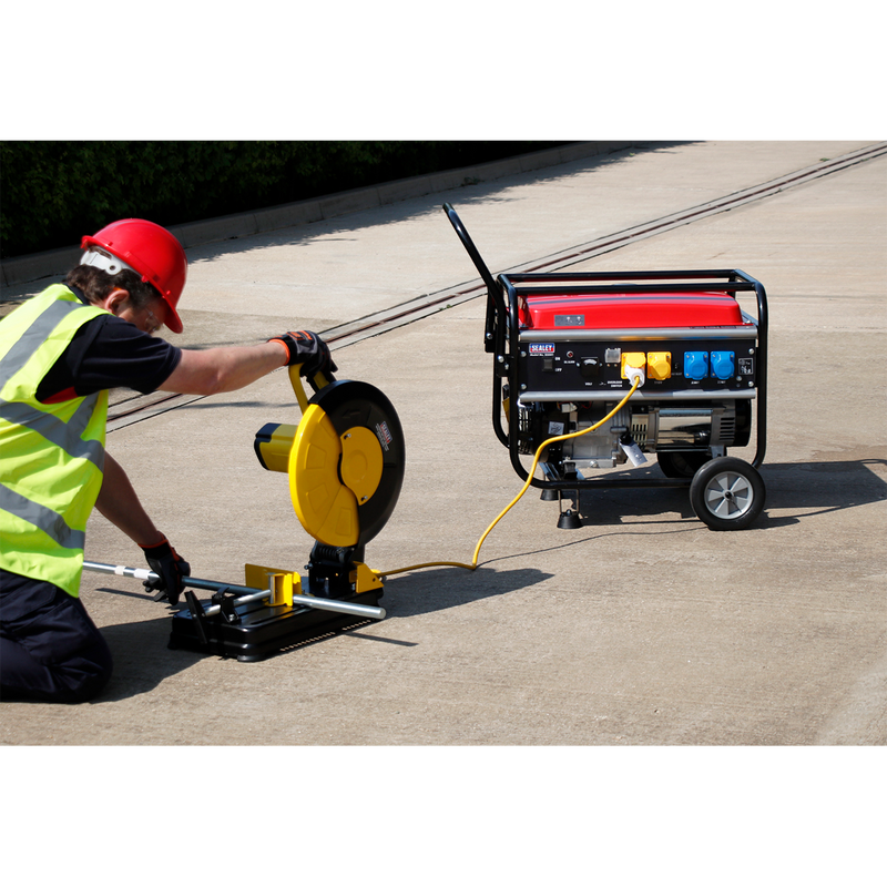 Generator 5500W 110/230V 13hp | Pipe Manufacturers Ltd..